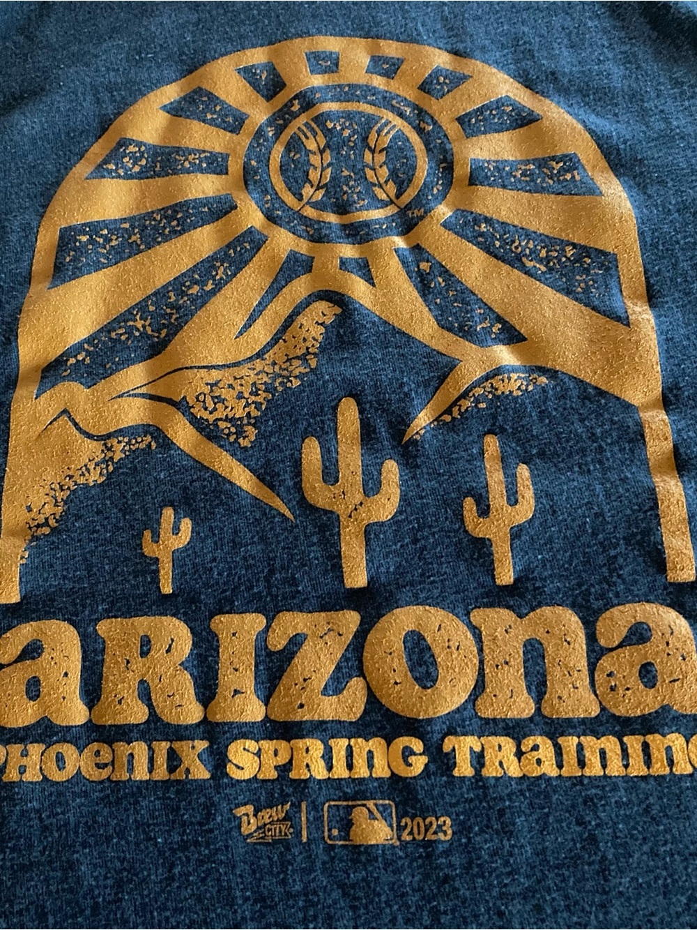 Arizona Phoenix Short Sleeve Graphic Tee - Navy with Gold Design
